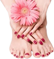 MANICURE AND PEDICURE